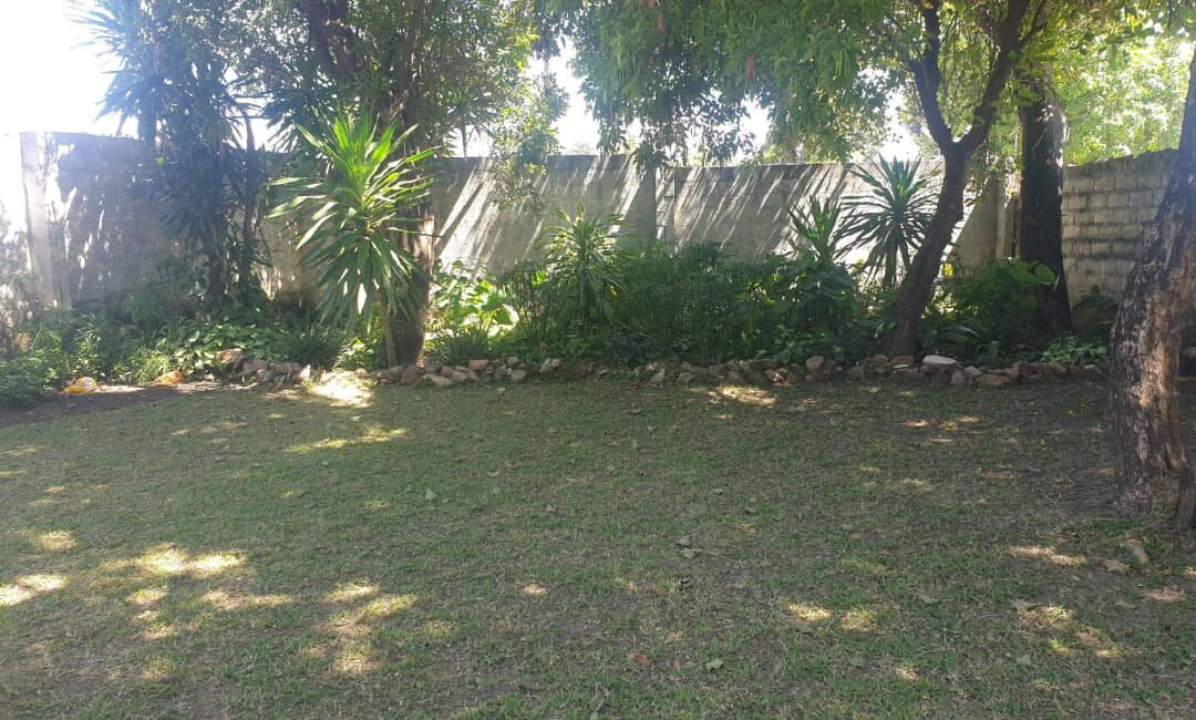 IMG-20240725-WA0042